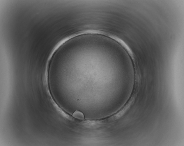 X0000114610910200910201150