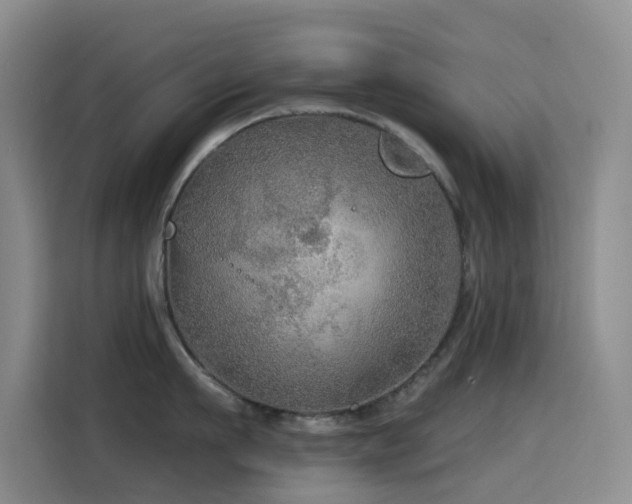 X0000114610911200910201150