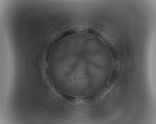 X0000114610913200910201149