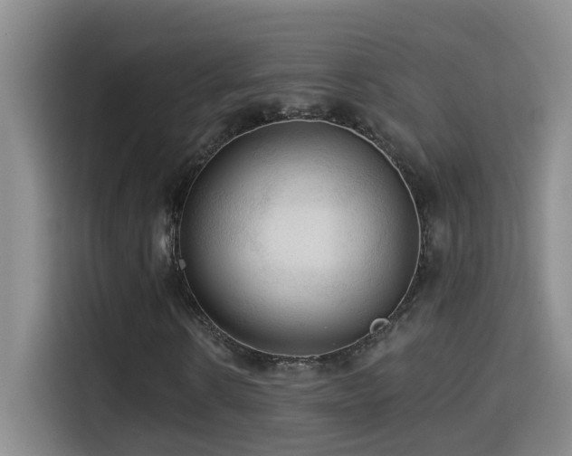 X0000114610914200910201149