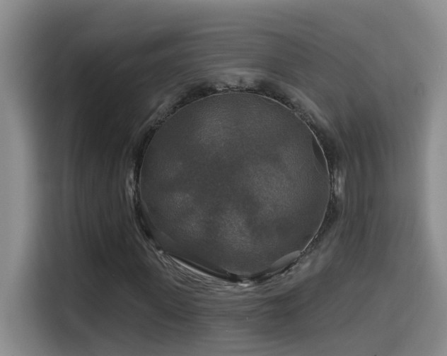 X0000114610915200910201149