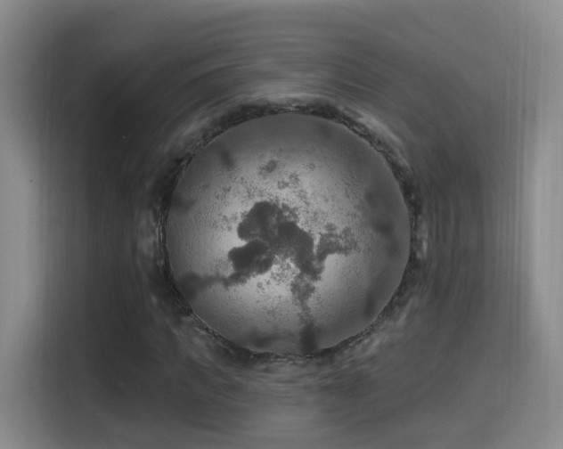 X0000114610917200910201149