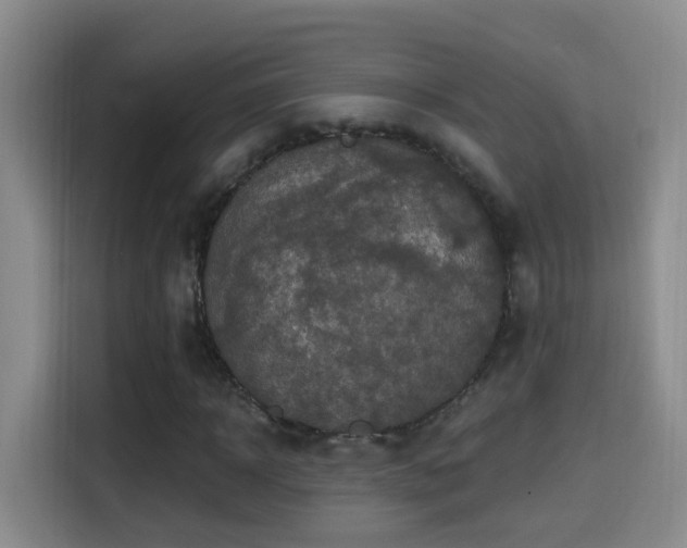 X0000114610918200910201149