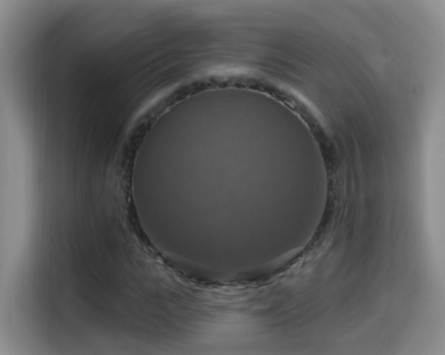 X0000114610919200910201149