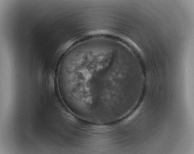 X0000114610921200910201149