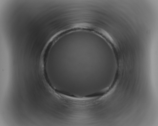 X0000114610923200910201149