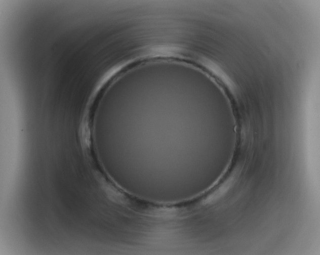 X0000114610925200910201149