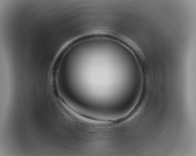 X0000114610926200910201149