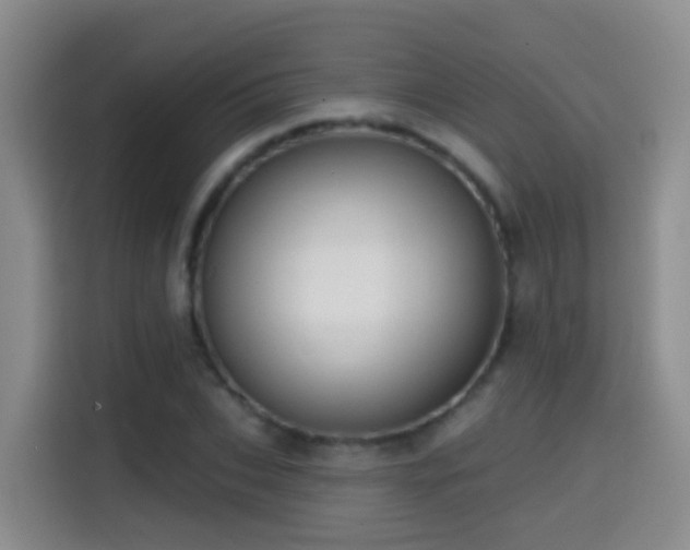 X0000114610927200910201149