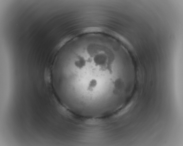 X0000114610929200910201149