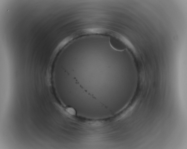 X0000114610930200910201149