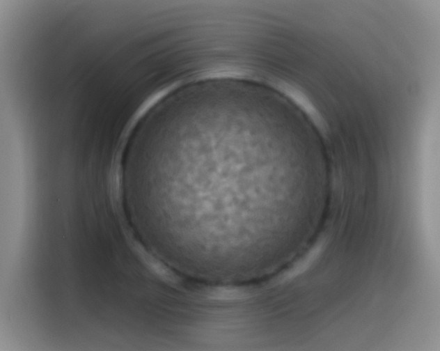 X0000114610933200910201149