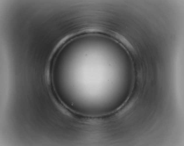 X0000114610934200910201149