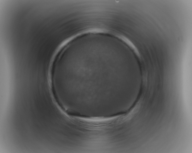 X0000114610935200910201149