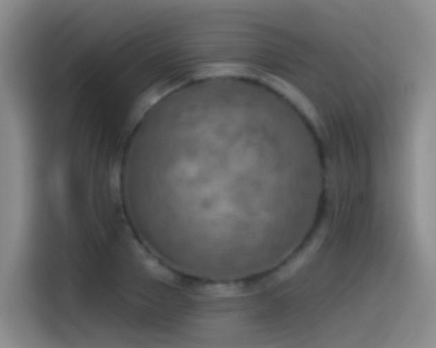 X0000114610937200910201150