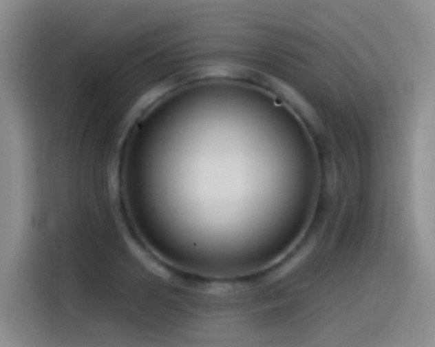 X0000114610938200910201150