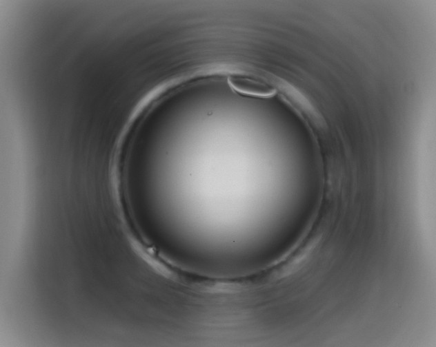 X0000114610942200910201150