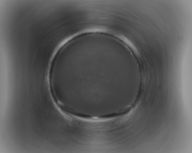 X0000114610943200910201150