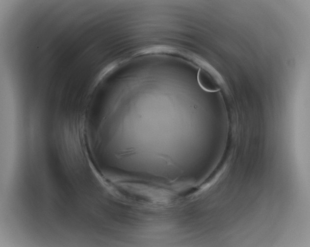 X0000114610945200910201150