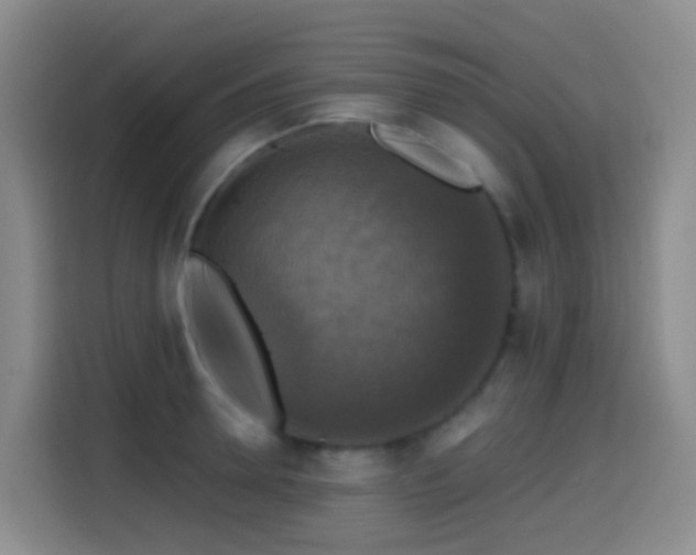 X0000114610946200910201150