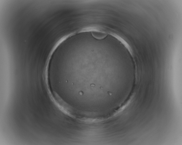 X0000114610949200910201150