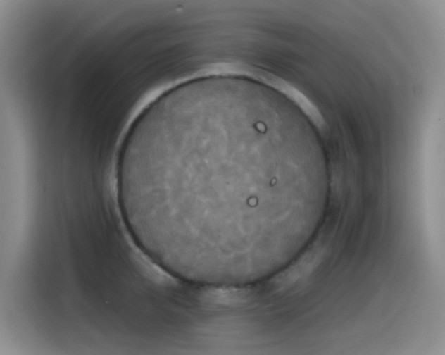 X0000114610950200910201150