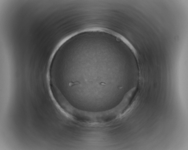 X0000114610951200910201150