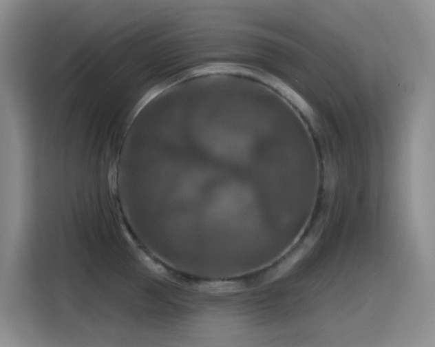 X0000114610953200910201150