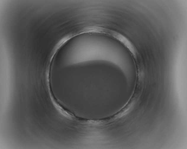 X0000114610954200910201150