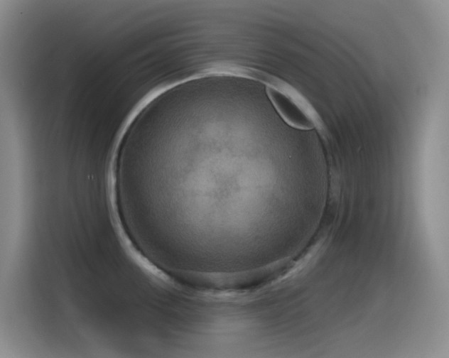 X0000114610955200910201150