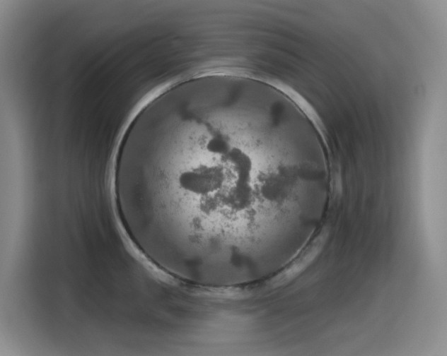 X0000114610957200910201150