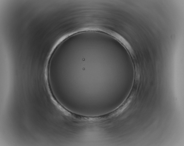 X0000114610958200910201150