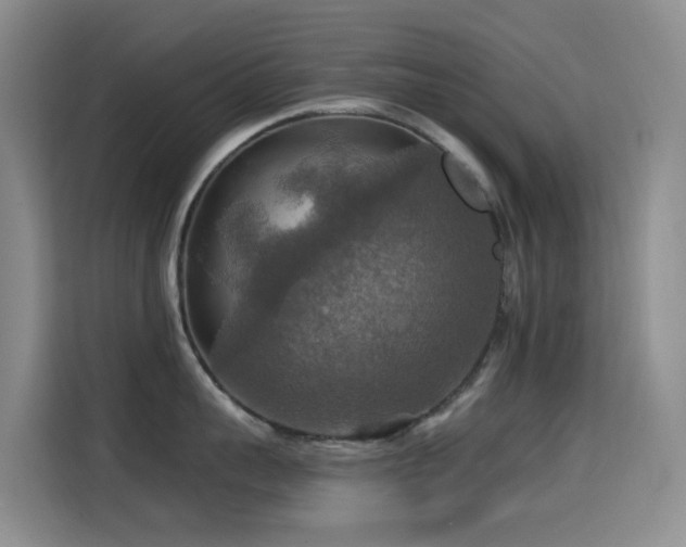 X0000114610959200910201150