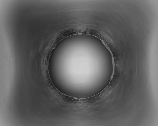 X0000114610961200910201149