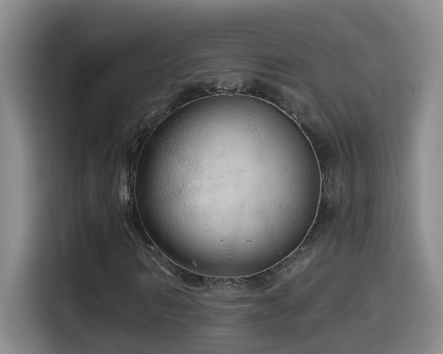 X0000114610962200910201149