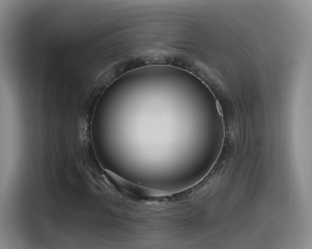 X0000114610964200910201149