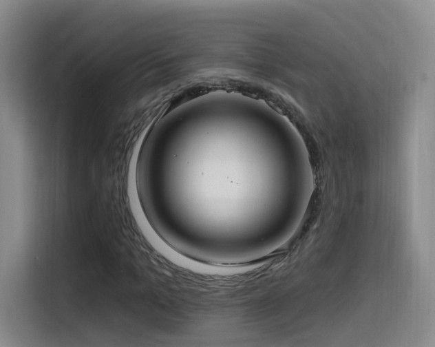 X0000114610965200910201149