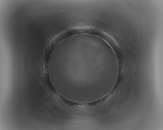 X0000114610966200910201149