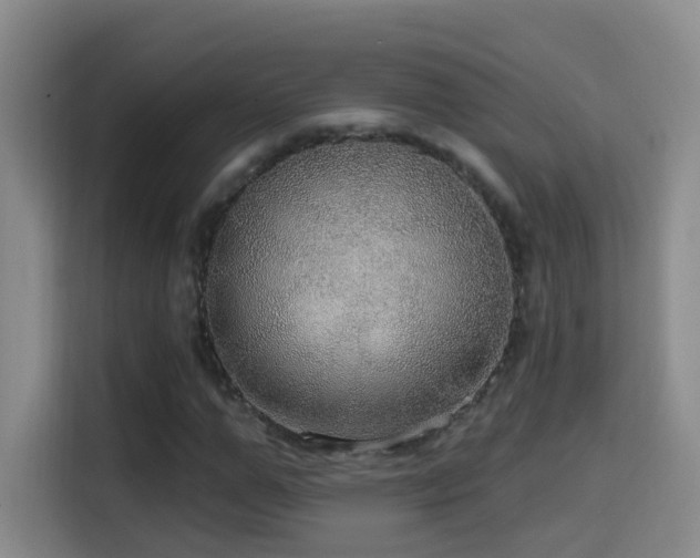 X0000114610967200910201149