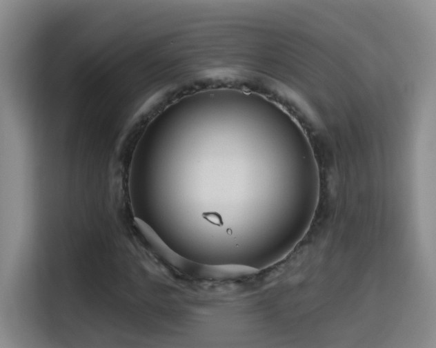 X0000114610968200910201149