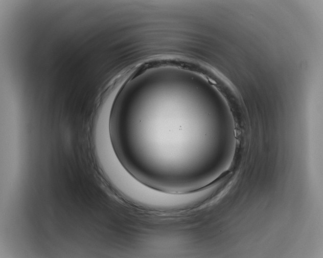 X0000114610969200910201149