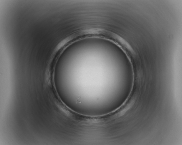 X0000114610970200910201149