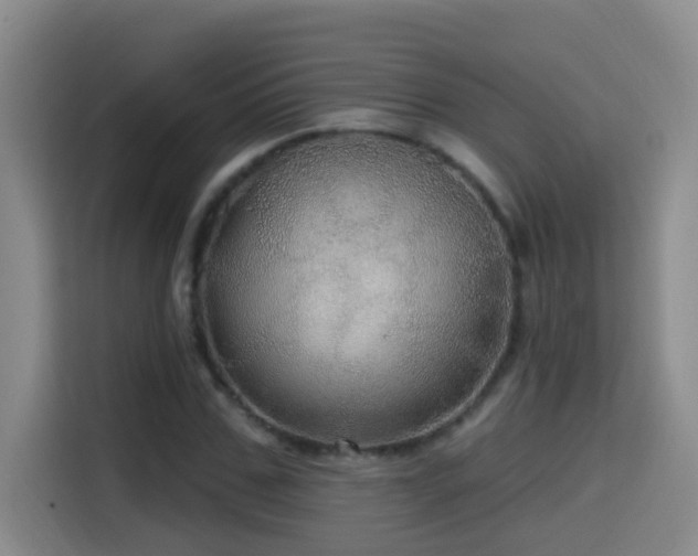 X0000114610971200910201149