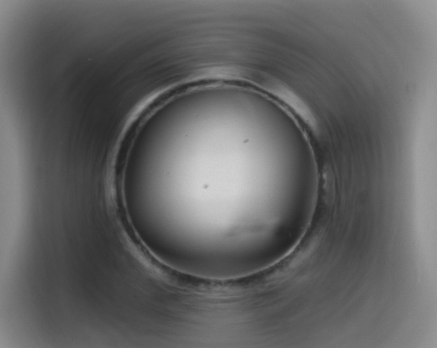 X0000114610972200910201149