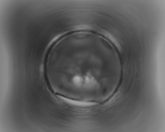 X0000114610975200910201149