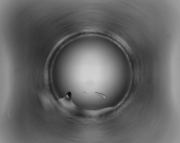 X0000114610976200910201149