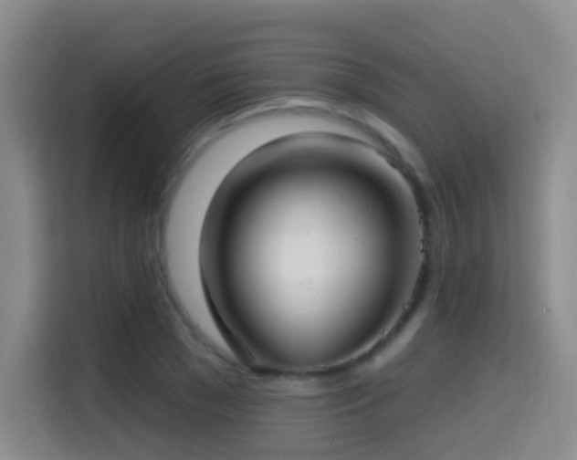 X0000114610977200910201149