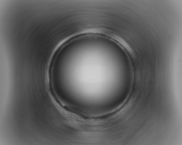 X0000114610980200910201149