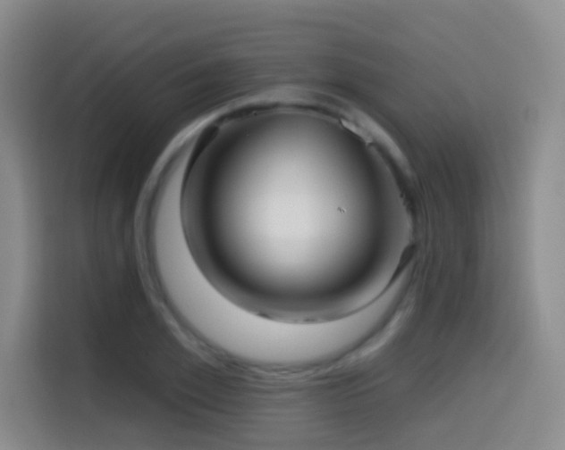 X0000114610981200910201149