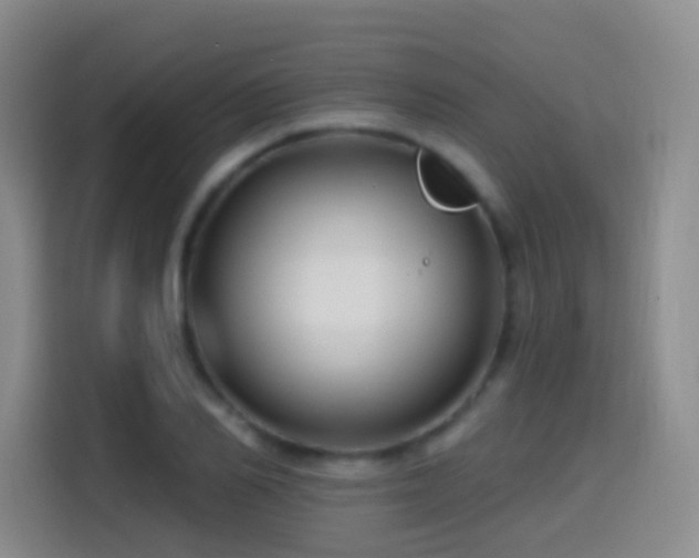 X0000114610982200910201149